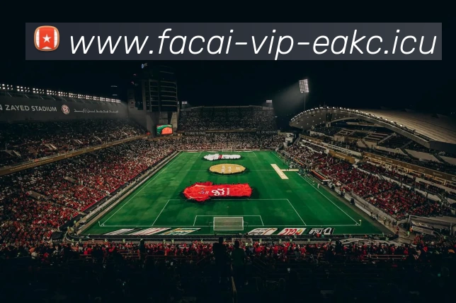 星空体育注册平台生态图