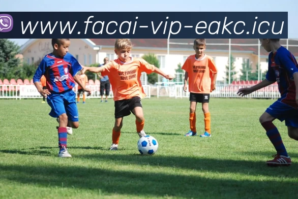 星空体育注册APP 封面图